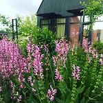 Domi Lini Apartament