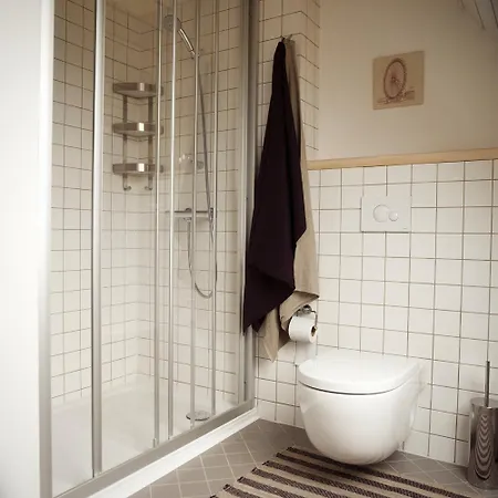 Domi Lini Apartman Druskininkai