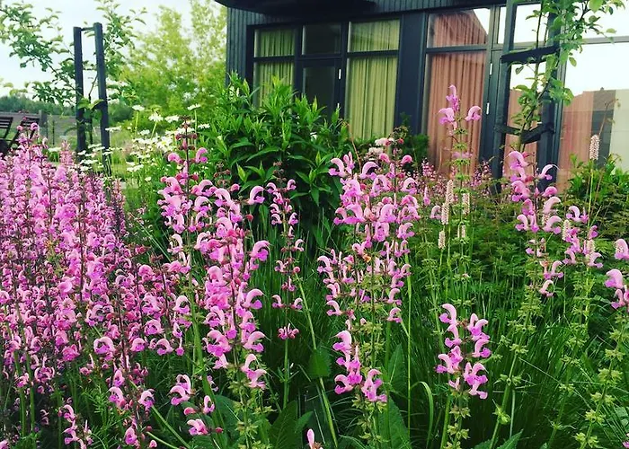 多米利尼酒店 公寓