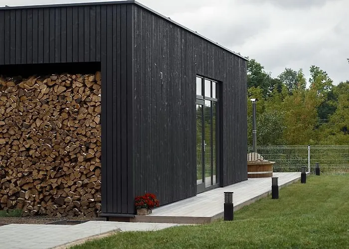 Apartament Domi Lini Druskieniki