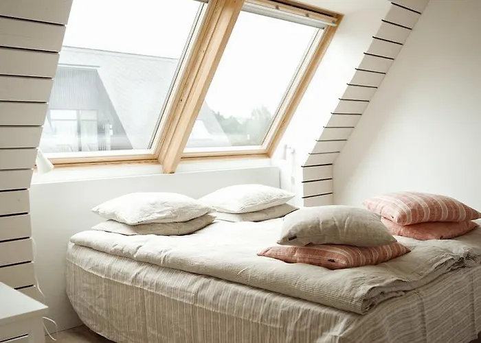 Domi Lini * Druskieniki