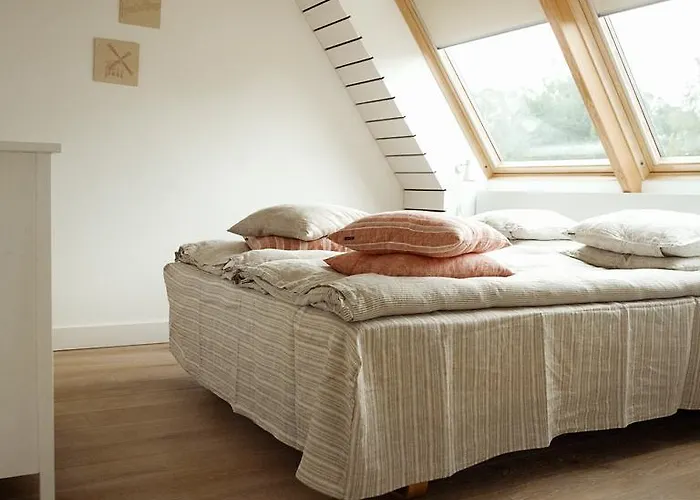 多米利尼酒店 德拉肯恩凯